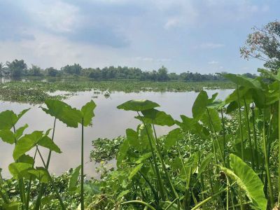 1. Bán Đất SKC 2 Mặt Tiền