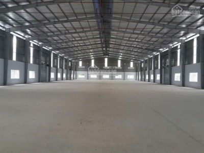 2. Bán nhà xưởng 5000m2 đường Nguyễn Hữu Trí, Tân Bửu, Bến Lức