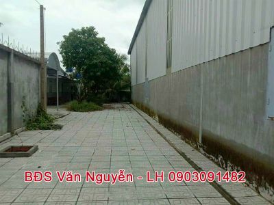 4. Xưởng 26 x 46 thổ cư và lúa đường nhựa